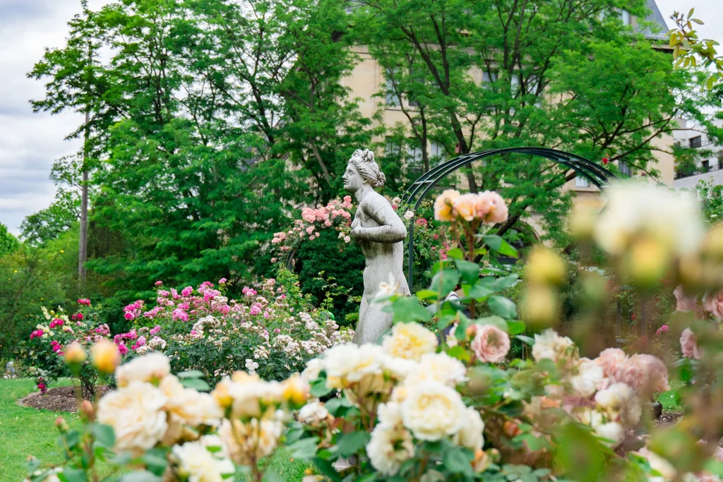 Les bienfaits de l’huile de rose musquée pour la peau